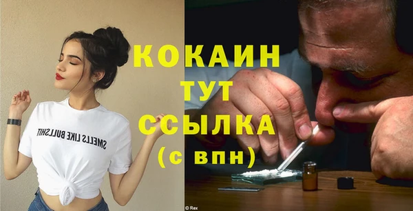 МДПВ Абаза