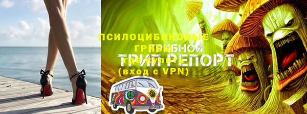 прущий лед Алексин