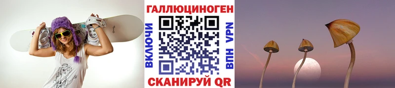 купить наркотики сайты  Артём  ссылка на мегу ТОР  Псилоцибиновые грибы прущие грибы 
